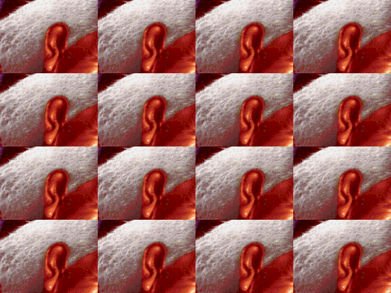 Example Image