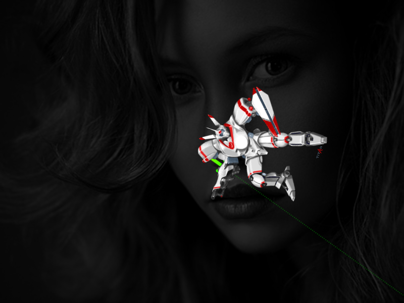 Example Image