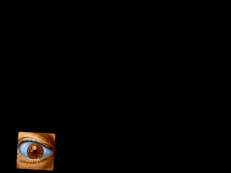 Example Image