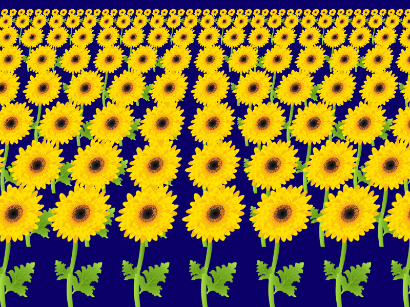 Example Image